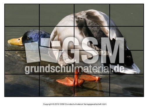 Puzzle-Stockente-8.pdf